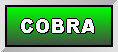 ANTIFURTI COBRA